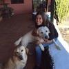 Elena: Estudiante de Veterinaria, cuidadora de perros