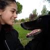 Clara: Paseadora de perros en la zona Las Rozas. 🐶