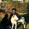 José María : “ Eran uno, dos y tres ”... ¡Amo a los perros! Barrio de Salamanca, Retiro, Chamberí...  