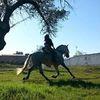 Pizco avatar