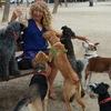 Petri: Hotel de mascotas en Salou -Perros pequeños