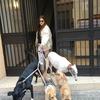 Júlia: Adiestradora canina profesional y cuidadora 
