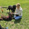 Olga: Cuidador - Paseador - Educadora Canina