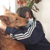 Paloma: paseadora con experiencia en perras con problemas <3