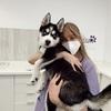 Alba: Busco cuidar perritos mientras estudio para curarlos!!!