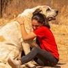 Celia: Voluntaria con experiencia en una protectora de animales. Paseos, entrenamiento y educación.