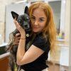 Valeria: Paseadora ucraniana que vino desde Kiev con su perro acuestas 
