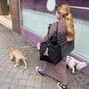 Natalia: Paseadora y cuidadora de perritos