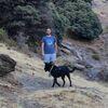 Álvaro : Paseador de perros en Terrassa