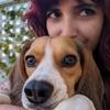 Mar: Deja a tu perro en manos de una profesional