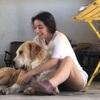 Zoe: Paseador/cuidador de perros