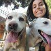 Ayelén: Paseadora de perros en Cubelles