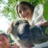 Carolina: Cuidador de perros
