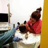 Asunción : Auxiliar de veterinaria