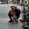 Román : Paseador de perros con años de experiencia