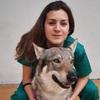 Sofía: Veterinaria y amante de la etología canina 