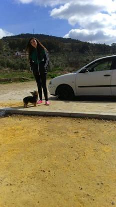 VÍA VERDE DE LA SIERRA.