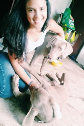 Mi perro Spock de Venezuela y su mejor amiga Chocolata