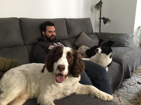 Cooper ha venido varias veces y le encanta subirse al sofá