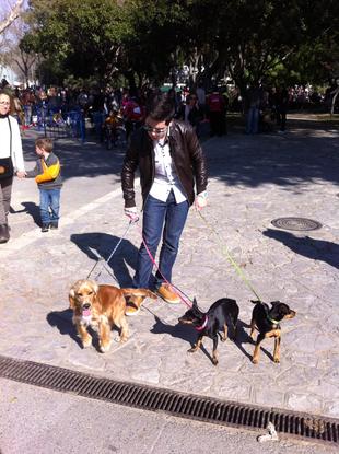Día de paseo con Mérida, Chanel y Pepa
