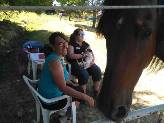 Recibiendo prácticas de Coaching con caballos