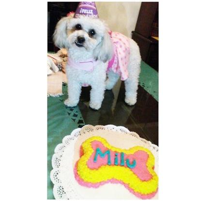 Cumpleaños de Milu