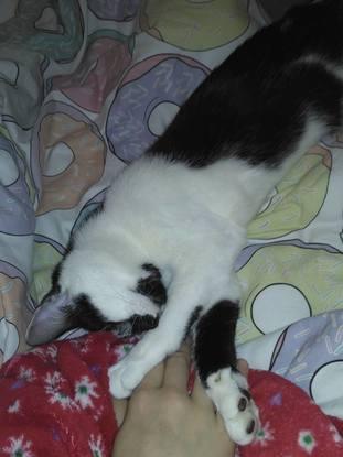 Luna cogiéndome cariño <3