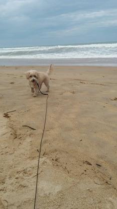 Un paseo por la playa