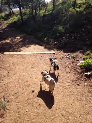 Con uno de mis amigos del parque :-)