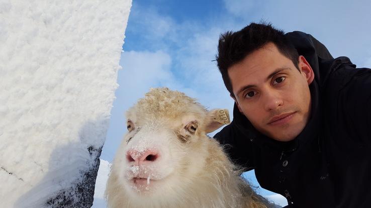 Rescatando ovejas de la nieve en las Islas Faroe