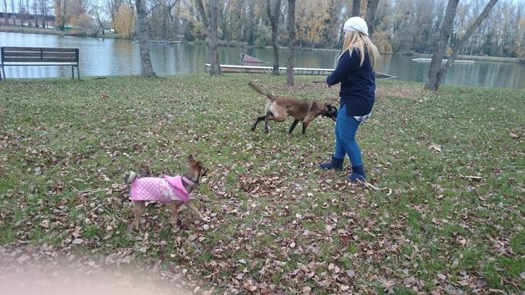 En Francia jugando con mis perras en un lago, se lo pasaron pipa!!