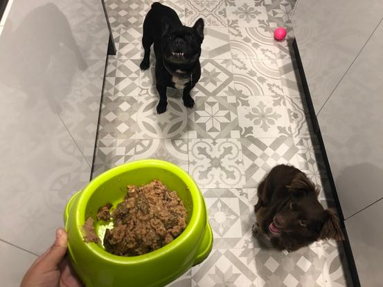 Bruno y Lola esperando su manjar.
