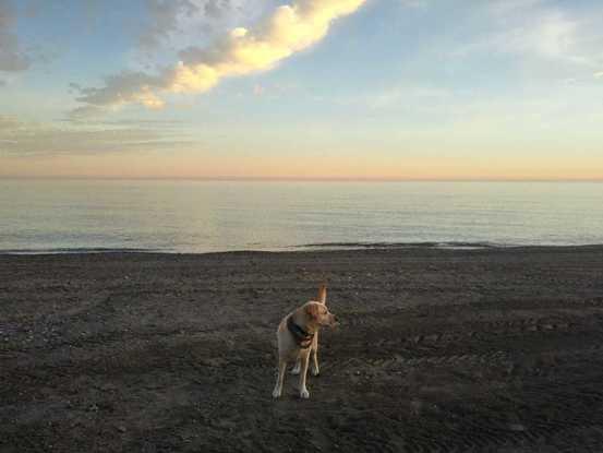 playa cercana