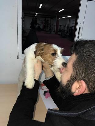 La perrita de mi hermana (Uma)