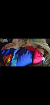 SuperSpike cansado tras salvar el mundo