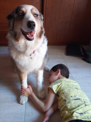 Terapia Canina a Domicilia - autista