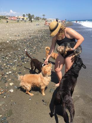 Pasando el día con los perretes en una playa de perros (Totalan)