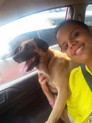 Acompañando a Mono al veterinario