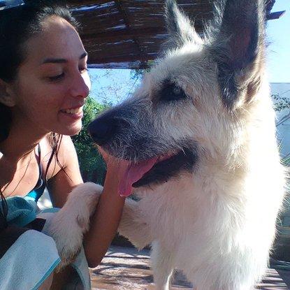 Con Ordi. Lleva prótesis en los ojos, es un perro joven ciego y es un amor. Siempre un placer cuidar de el.