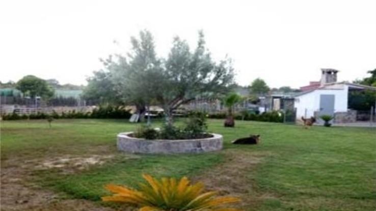 Parcela donde poder correr y jugar, en la foto, dos de los inquilinos asiduos :)