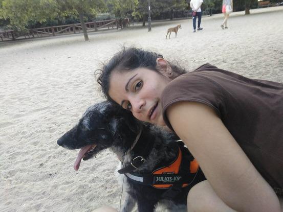 De paseo y juego con Koly en la zona cerrada para perros en 
el Parque del Retito