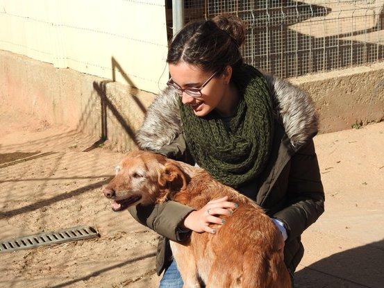 Protectora de Soria, un día perfecto dando amor a los más viejetes.