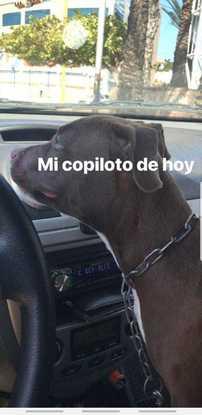 Gohan camino a la playa.