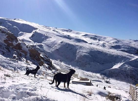 salida a la nieve con su amigo.