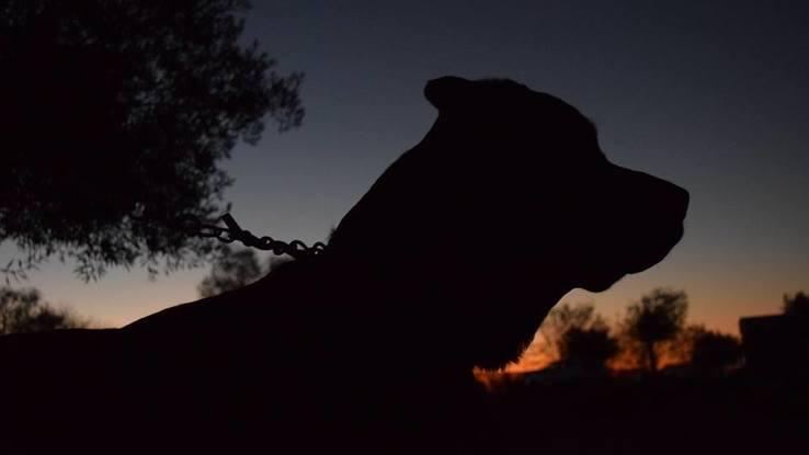 sesión fotográfica nocturna