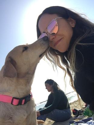 Paseo con amigos a la playa de perros 