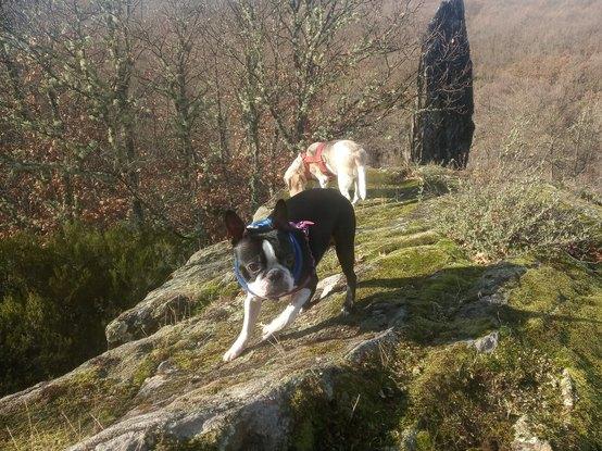 Roky y Barry en el pueblo