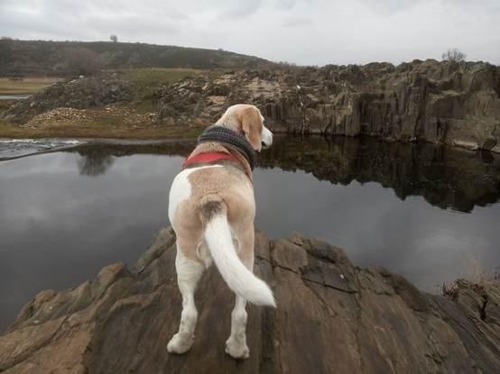 A Barry le encanta el Tera