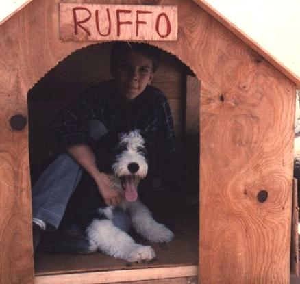 Ruffo (Mi primer pastor ovejero)