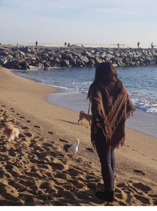 Paseo por playa Barceloneta con mis chihuahuas y Luna